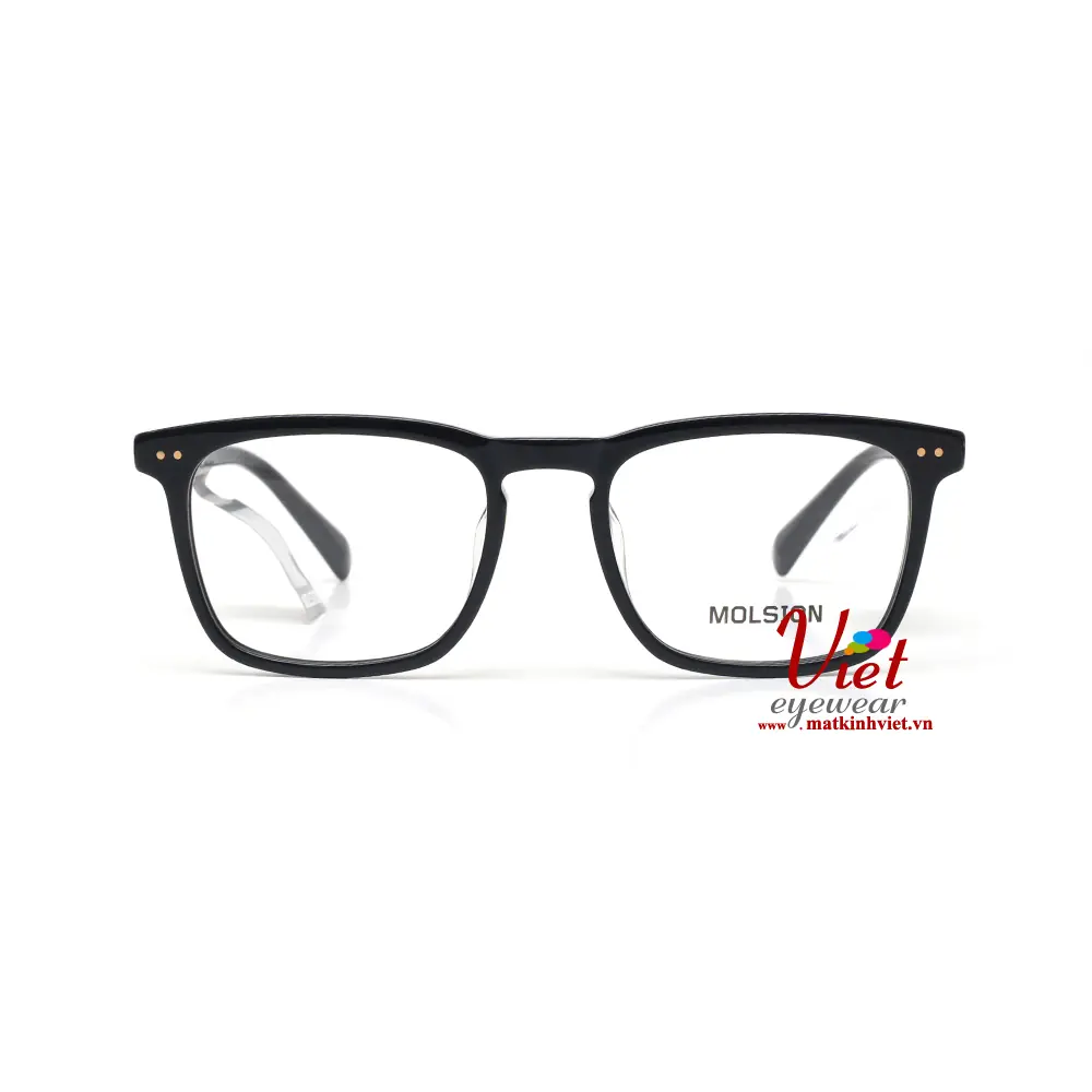 Gọng kính MOLSION MJ3022 B10