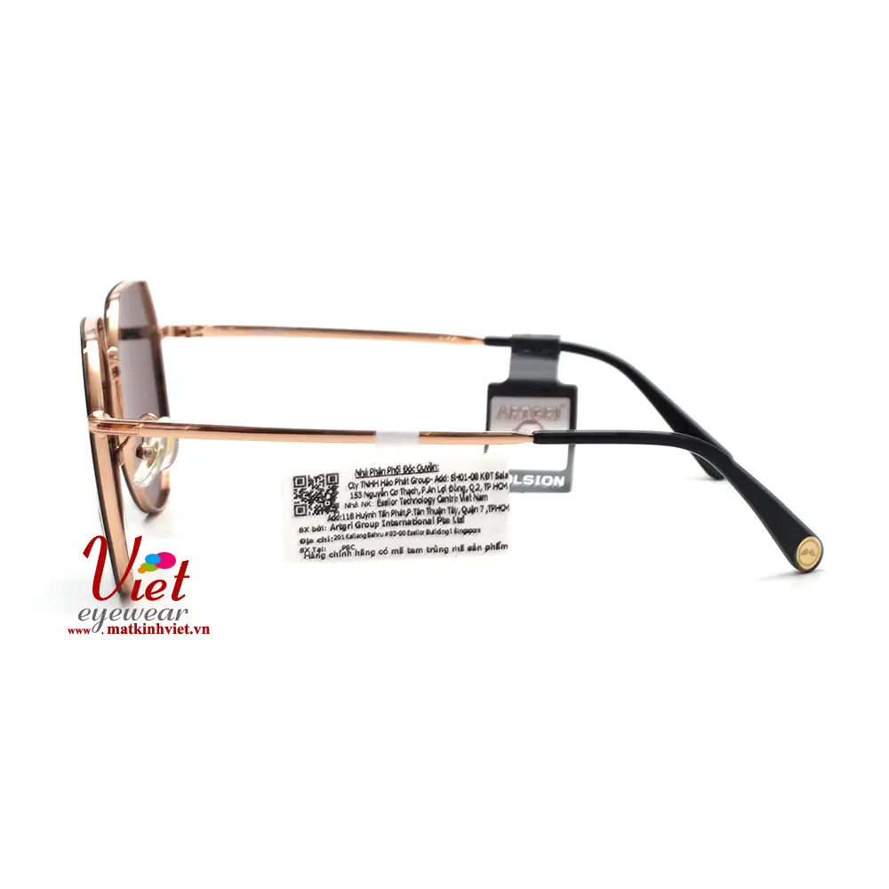 Kính mát MOLSION MJ7107 C31