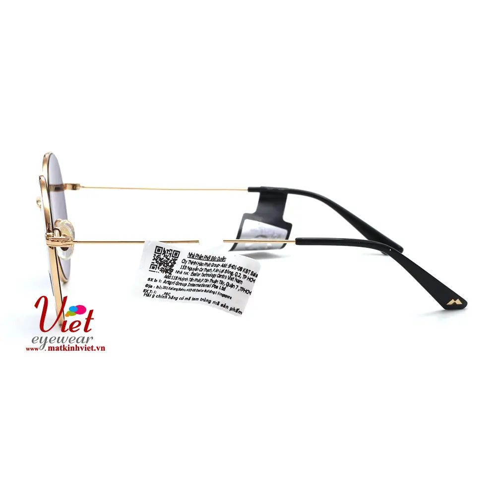 Kính mát MOLSION MJ7072 C60