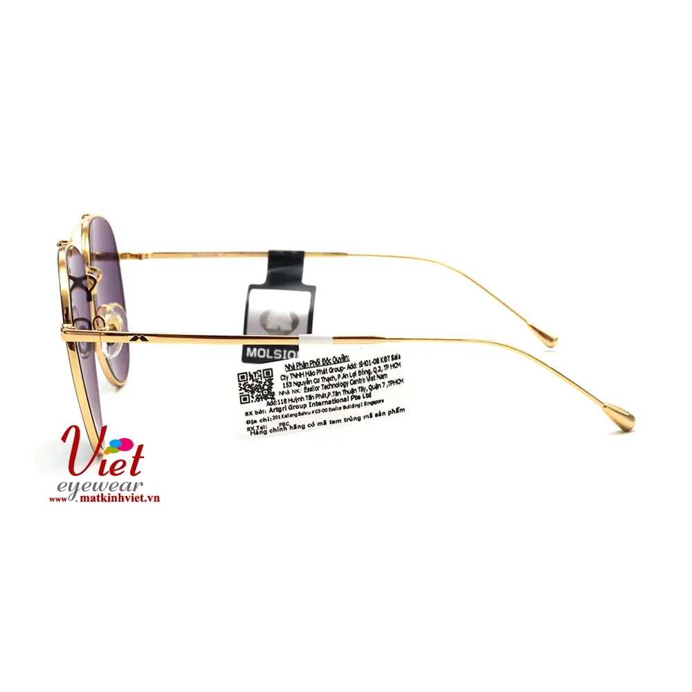 Kính mát MOLSION MJ7053 A12