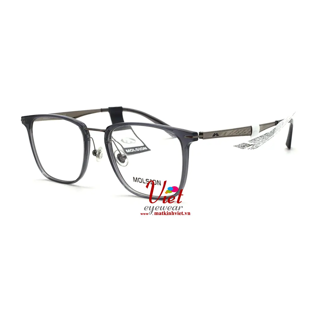 Gọng kính MOLSION MJ6101 B12