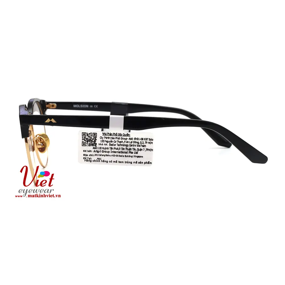Gọng kính MOLSION MJ6085 B10