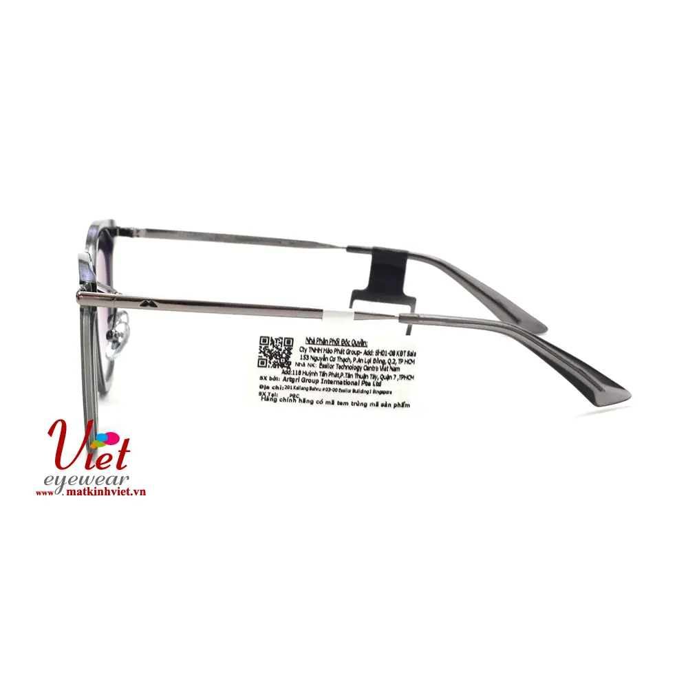 Kính mát MOLSION MJ6062 A11