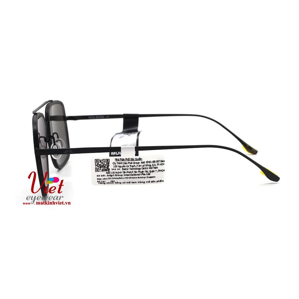Kính mát MOLSION MJ6030 D11