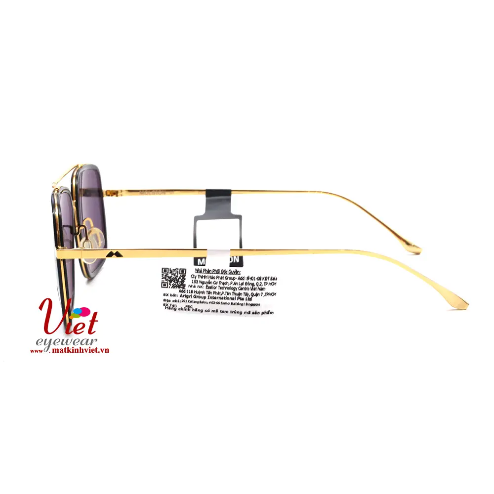 Kính mát MOLSION MJ6030 C10