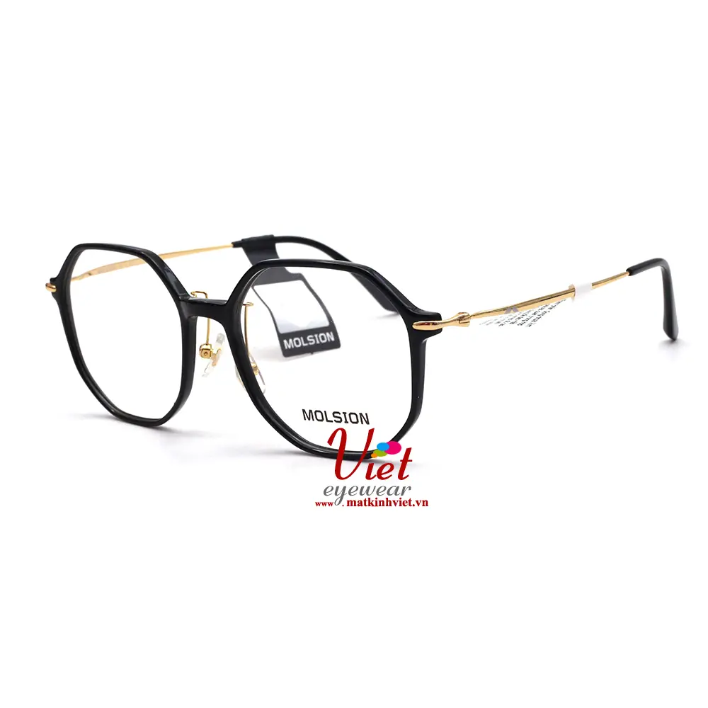 Gọng Kính MOLSION MJ5039 B10