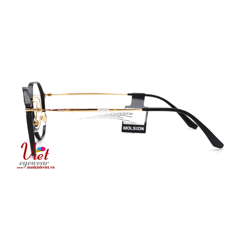 Gọng kính MOLSION MJ5039 B10
