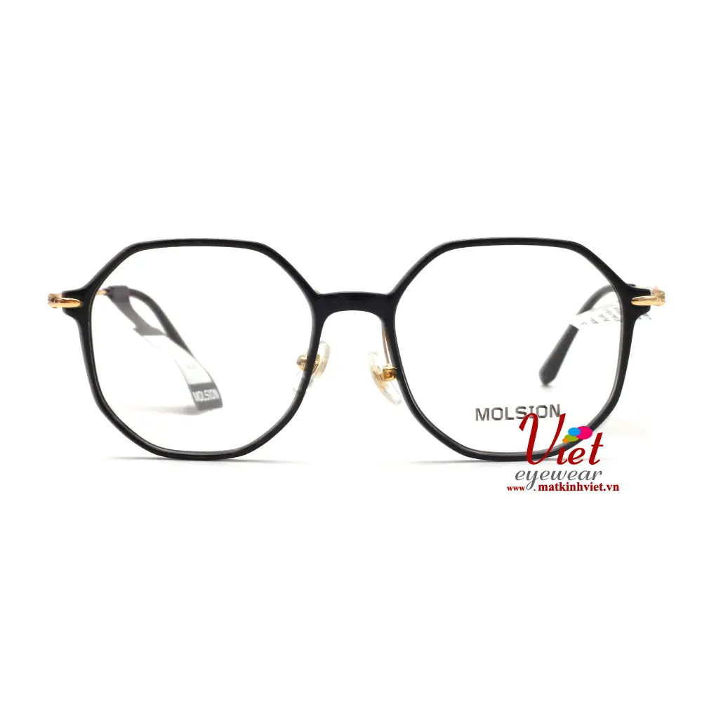 Gọng kính MOLSION MJ5039 B10