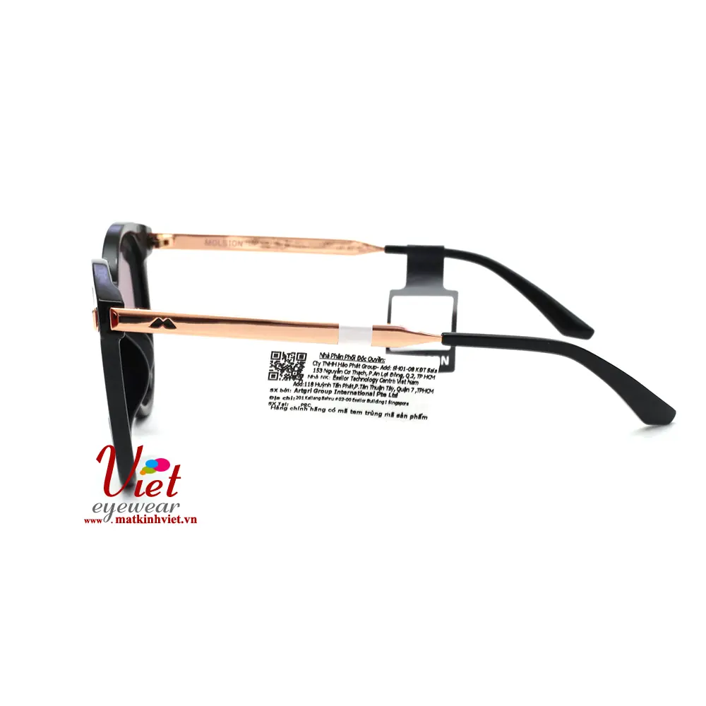 Kính mát MOLSION MJ5029 C10