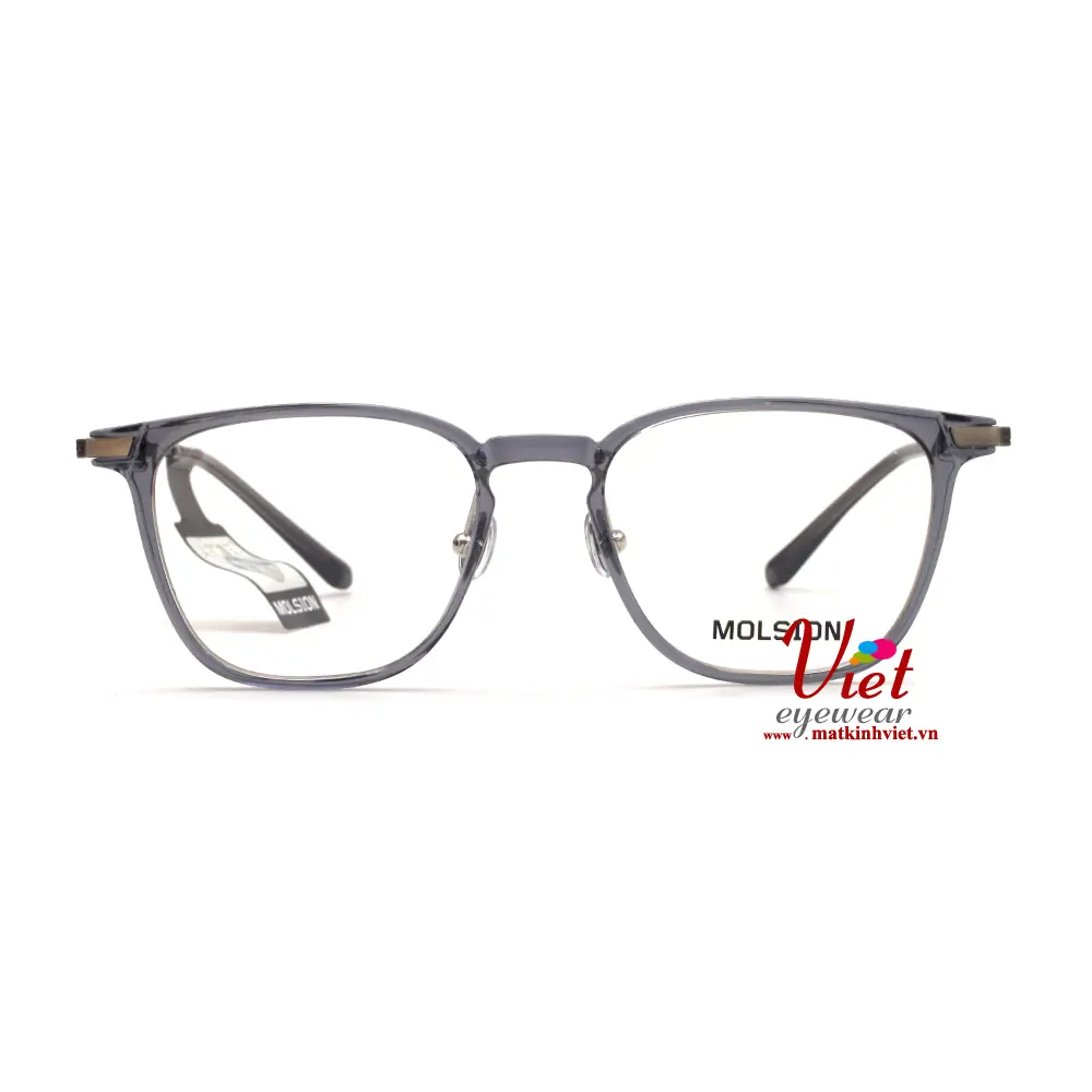 Gọng kính MOLSION MJ5019 B70