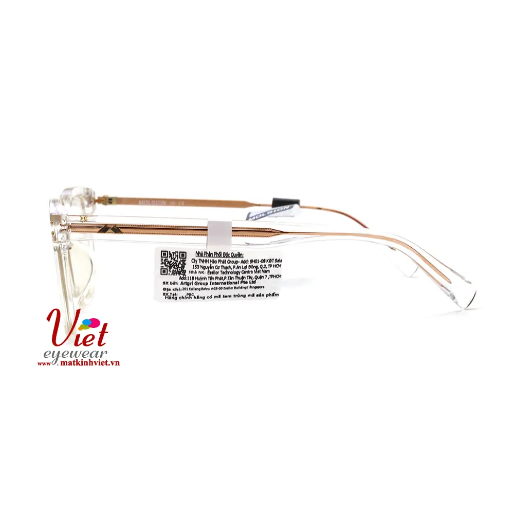 Gọng kính MOLSION MJ3016 B90