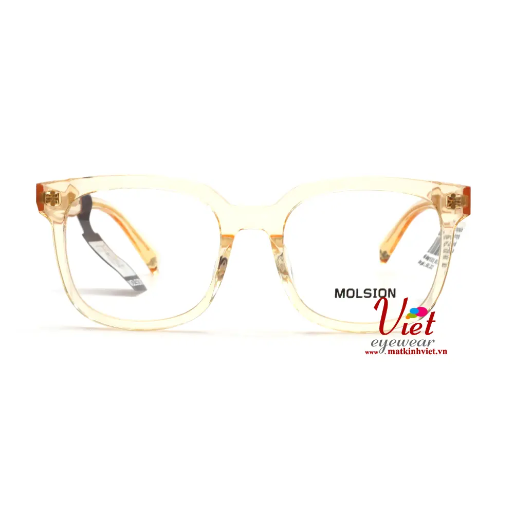 Gọng kính MOLSION MJ3016 B60