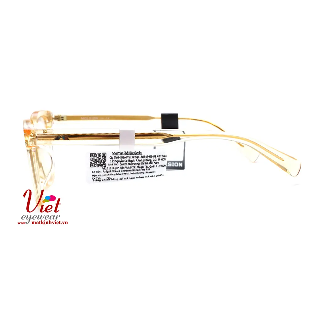 Gọng kính MOLSION MJ3016 B60