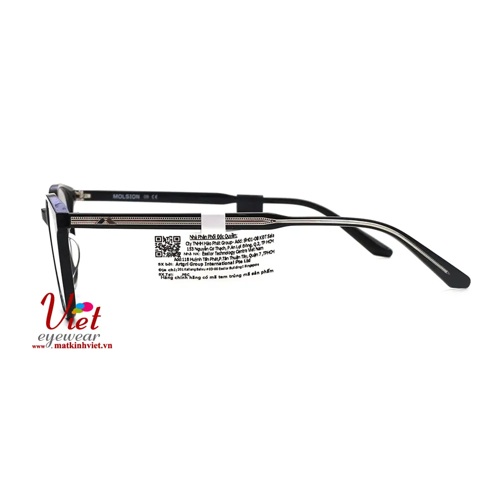 Gọng kính MOLSION MJ3010 B11