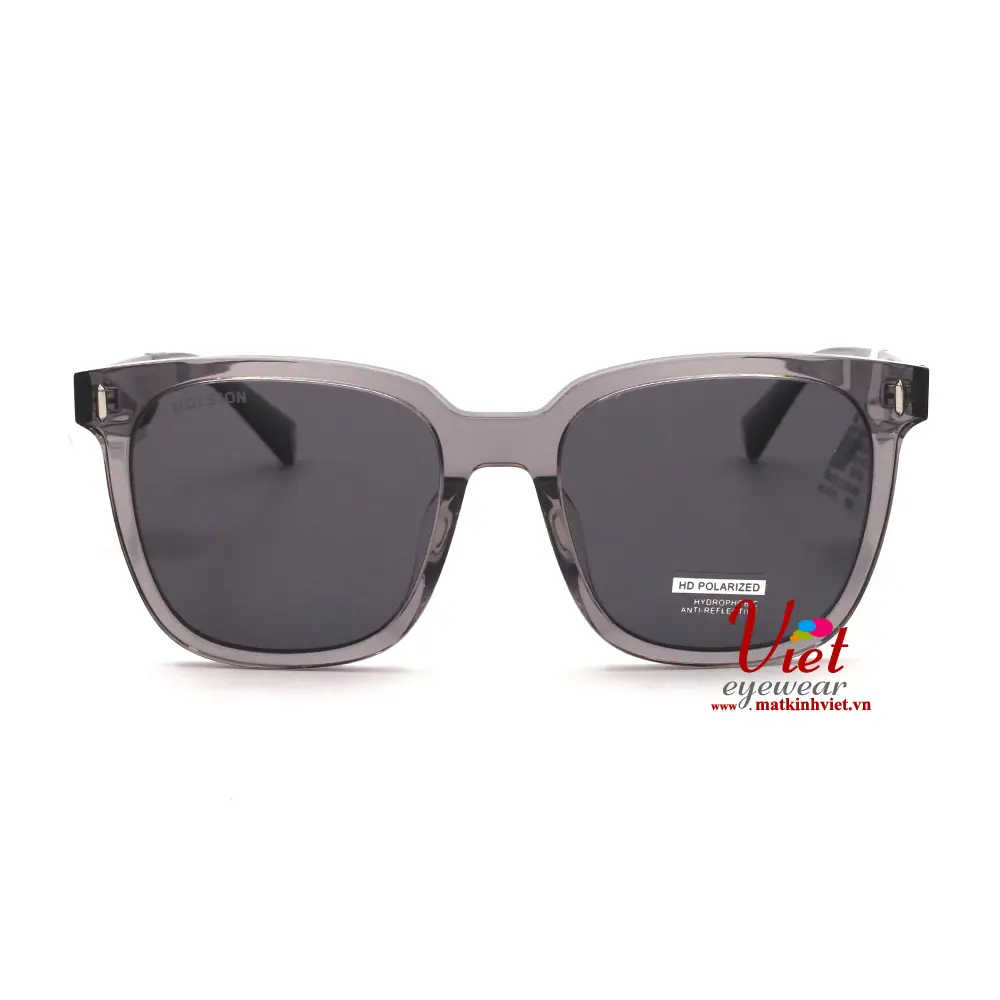 Kính mát MOLSION MJ3009 C12