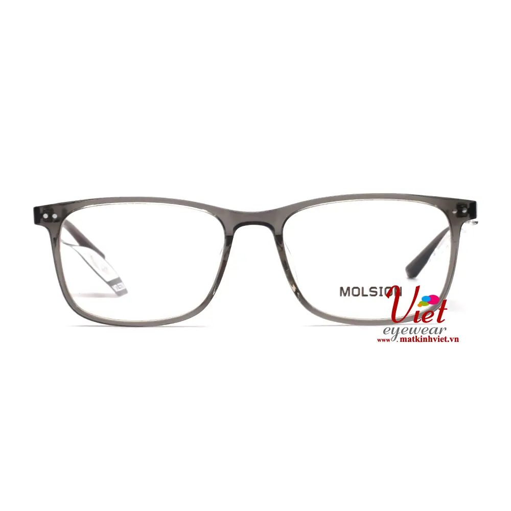 Gọng kính MOLSION MJ3009 B12