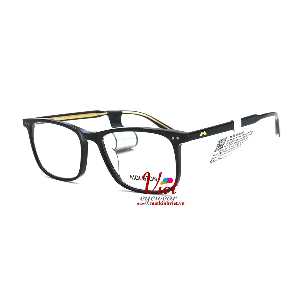 Gọng Kính MOLSION MJ3009 B10