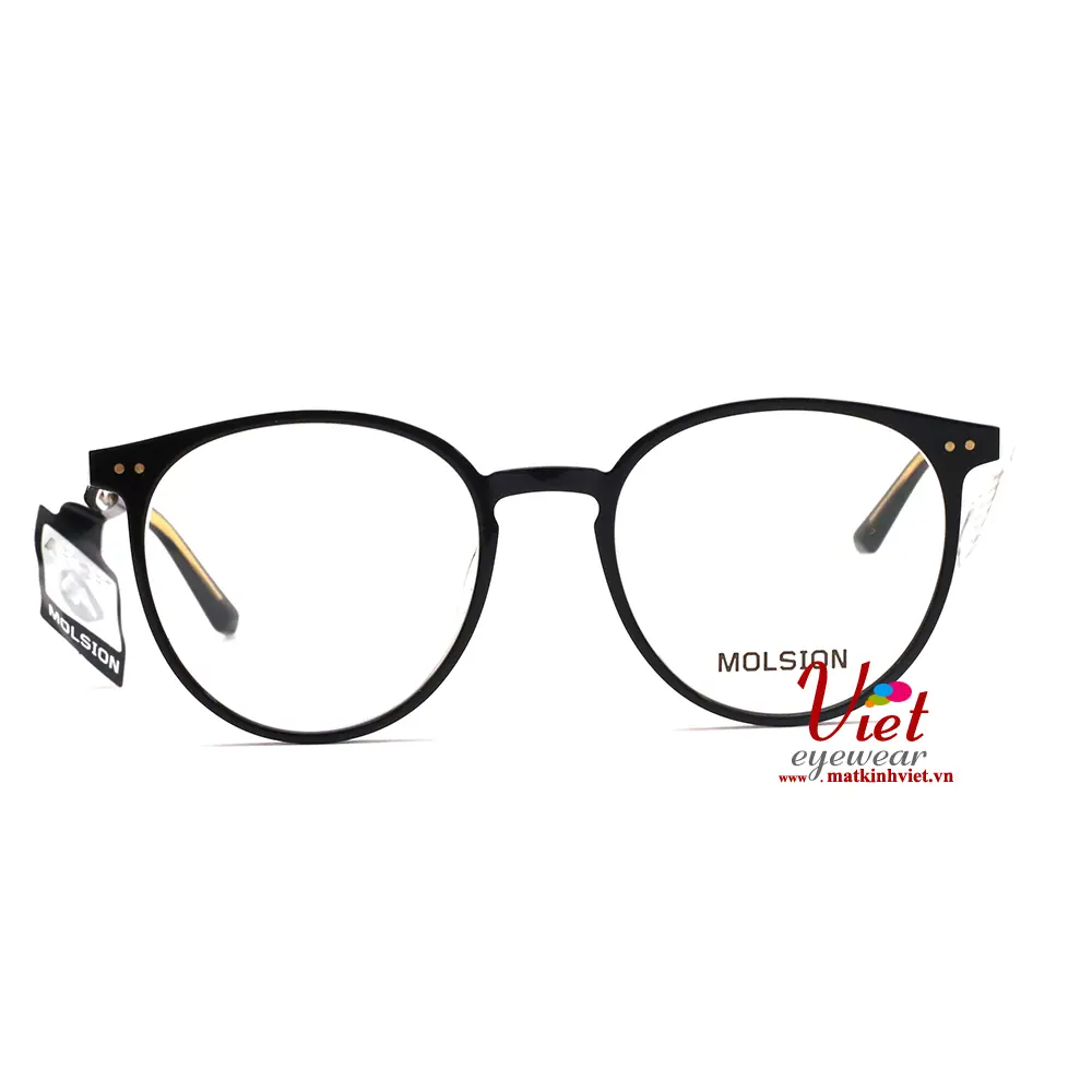 Gọng kính MOLSION MJ3008 B10