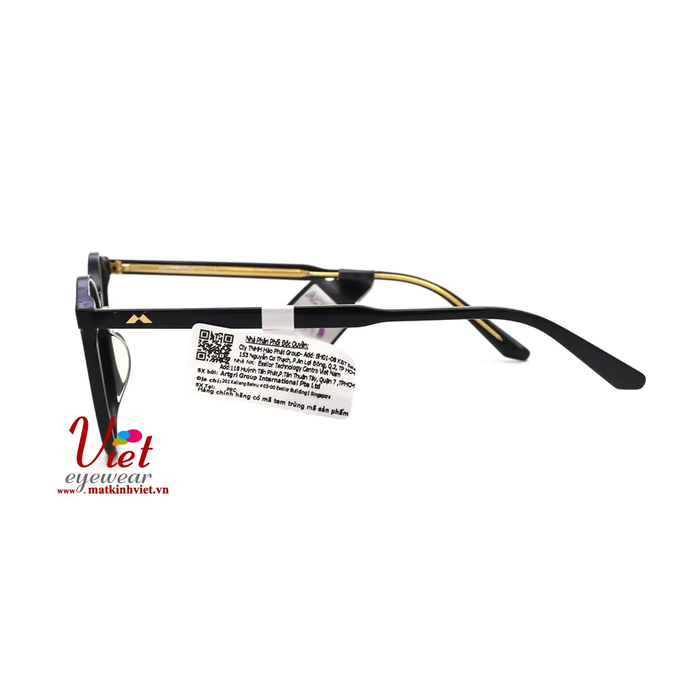 Gọng kính MOLSION MJ3008 B10
