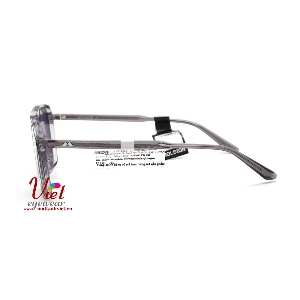 Kính mát MOLSION MJ3006 A12