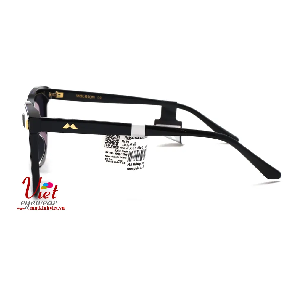Kính mát MOLSION MJ3005 A10
