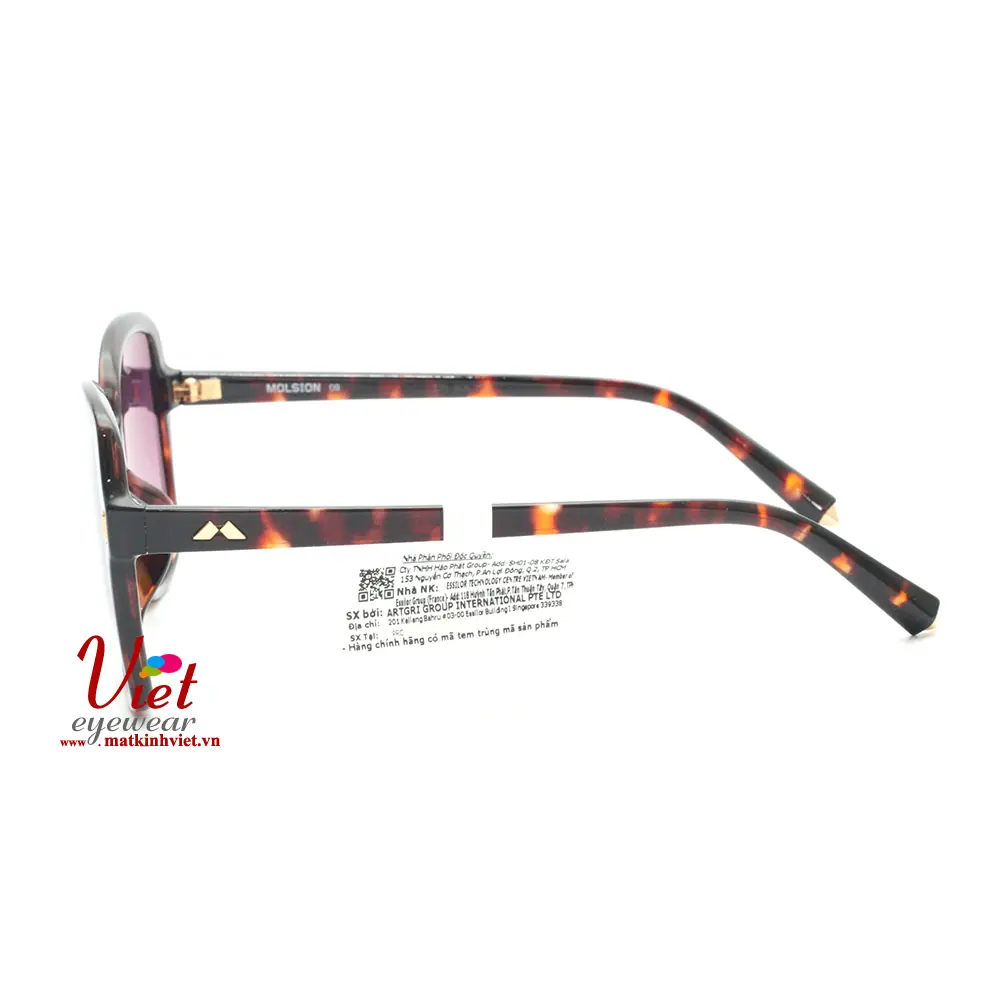 Kính mát MOLSION MS5017 A20