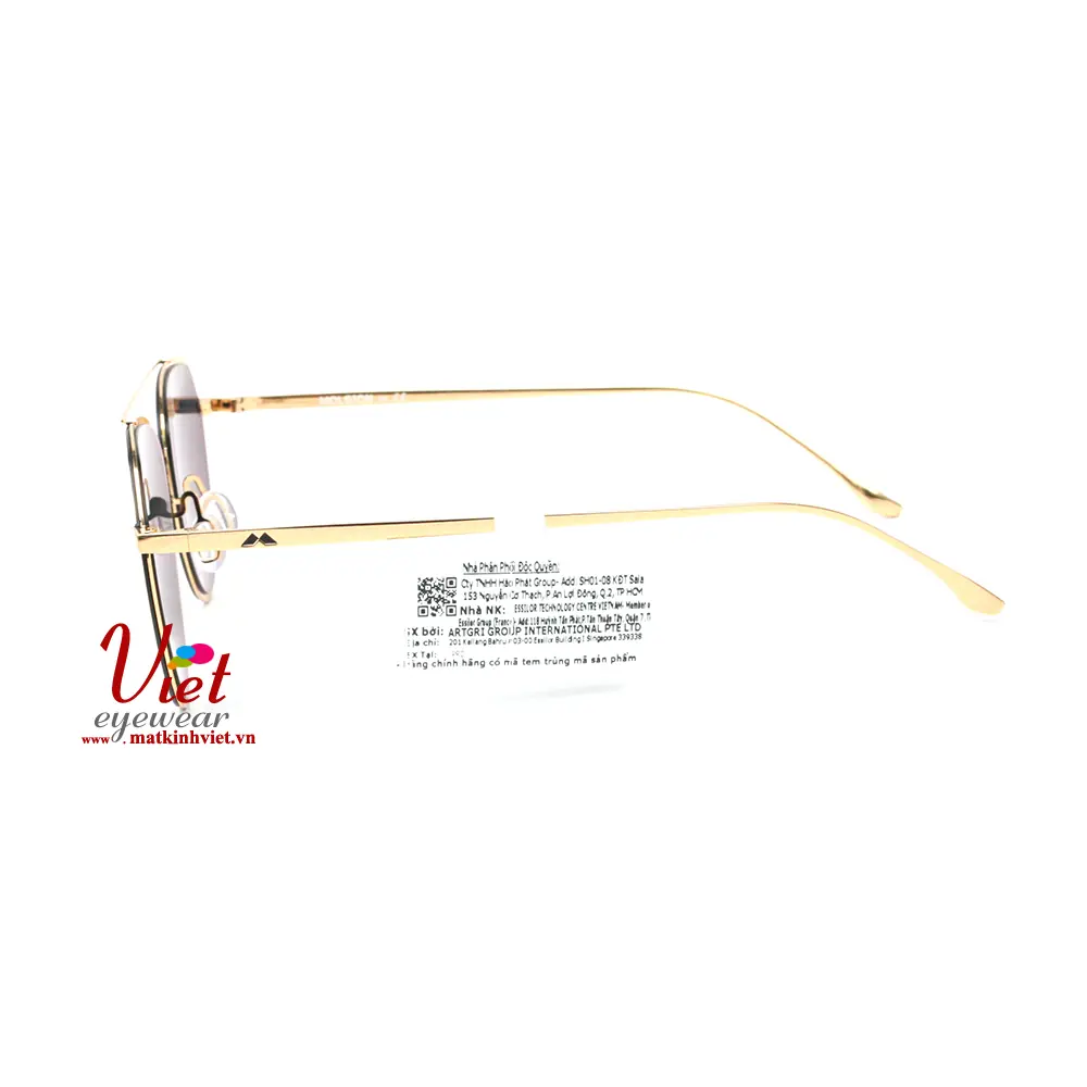 Kính mát MOLSION MS8013 C60