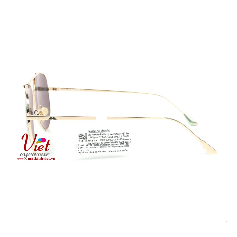Kính mát MOLSION MS7021 A60