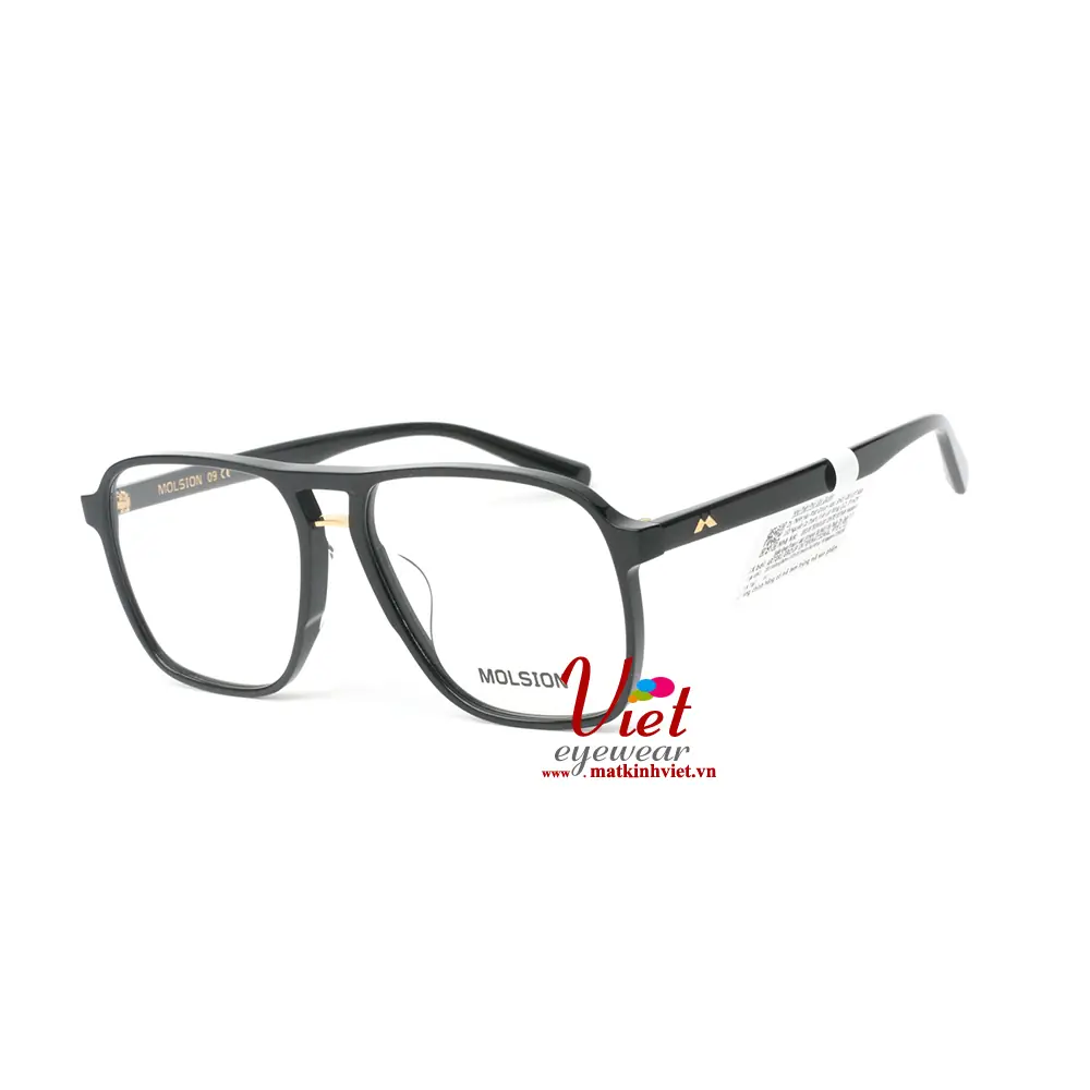 Gọng Kính MOLSION MJ3005 B10
