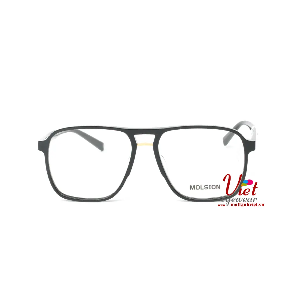 Gọng kính MOLSION MJ3005 B10