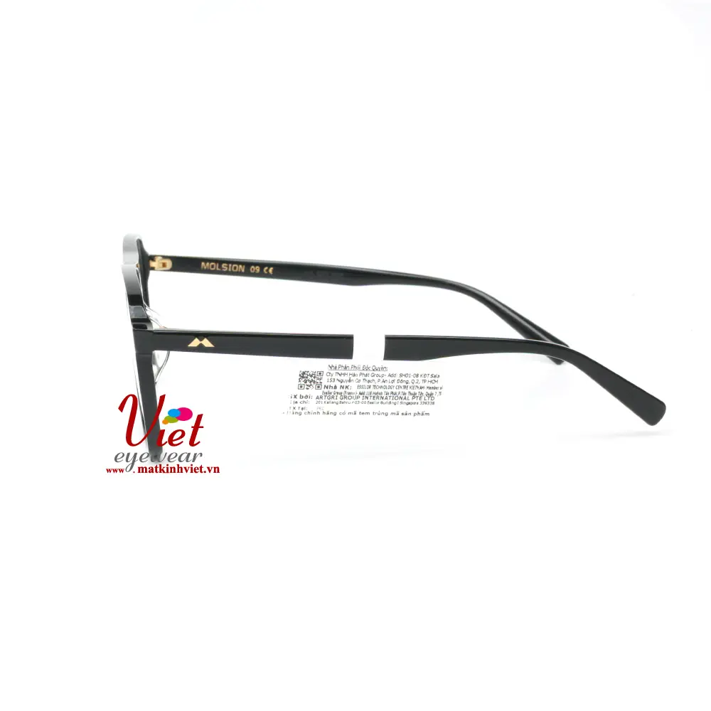Gọng kính MOLSION MJ3005 B10