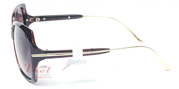 Kính mát Velocity VL5750 056