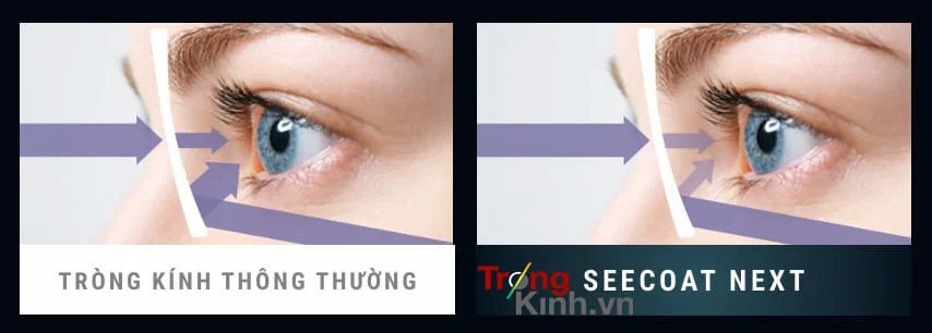 TRONGKINH.VN • Tròng Kính Chính Hãng Uy Tín Tại Tp. Hồ Chí Minh