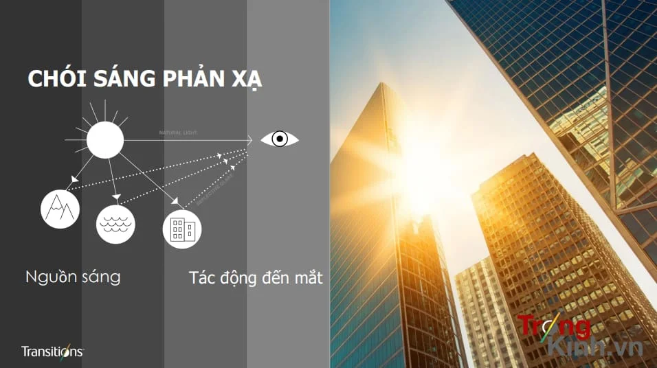 TRONGKINH.VN • Tròng Kính Chính Hãng Uy Tín Tại Tp. Hồ Chí Minh