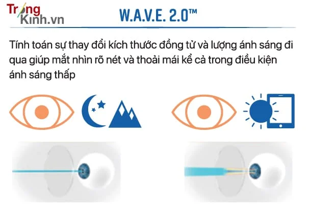 TRONGKINH.VN • Tròng Kính Chính Hãng Uy Tín Tại Tp. Hồ Chí Minh