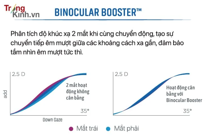 TRONGKINH.VN • Tròng Kính Chính Hãng Uy Tín Tại Tp. Hồ Chí Minh