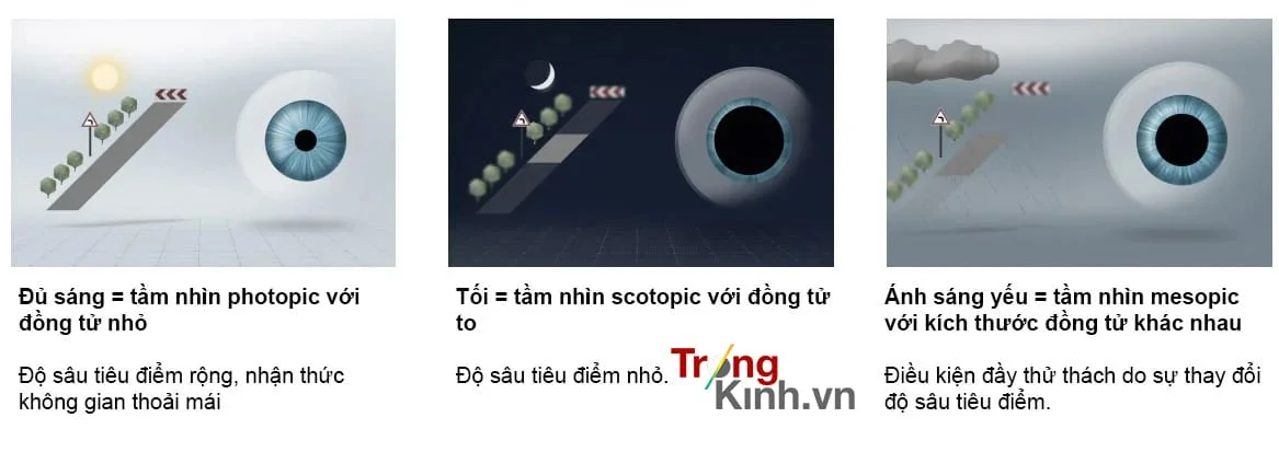 TRONGKINH.VN • Tròng Kính Chính Hãng Uy Tín Tại Tp. Hồ Chí Minh