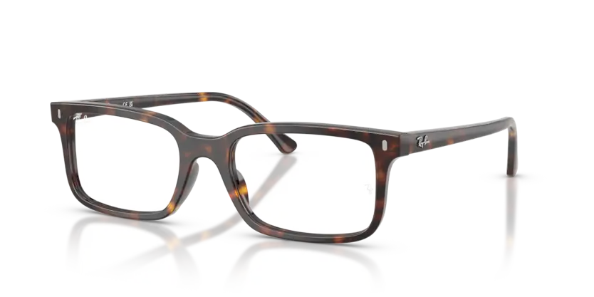Gọng Kính Ray-Ban 0RX5445F 2012