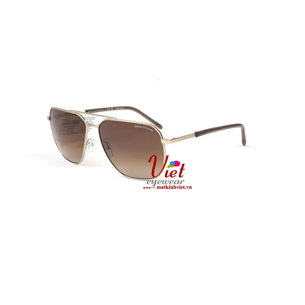 Kính Mát Armani Exchange AX2057S 6121/13