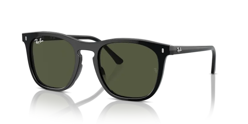 Kính Mát Ray-Ban 0RB2210F 901/31