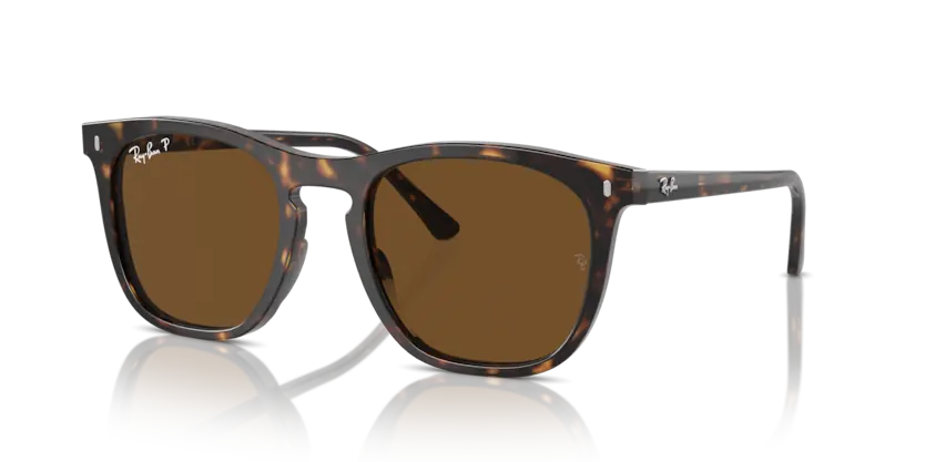 Kính Mát Ray-Ban 0RB2210F 902/57