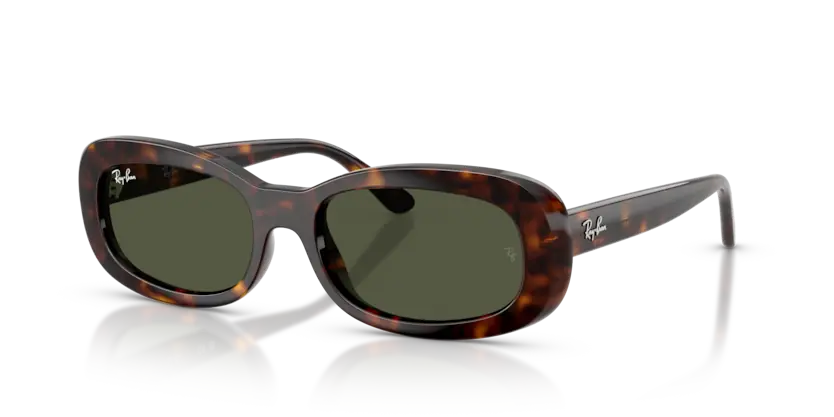 Kính Mát Ray-Ban 0RB2221F 902/31