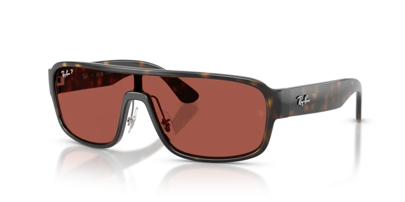 Ray-Ban RB2233 710/1B