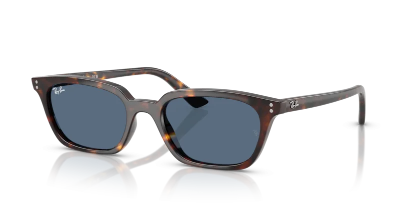Kính Mát Ray-Ban RB4456F 1359/80