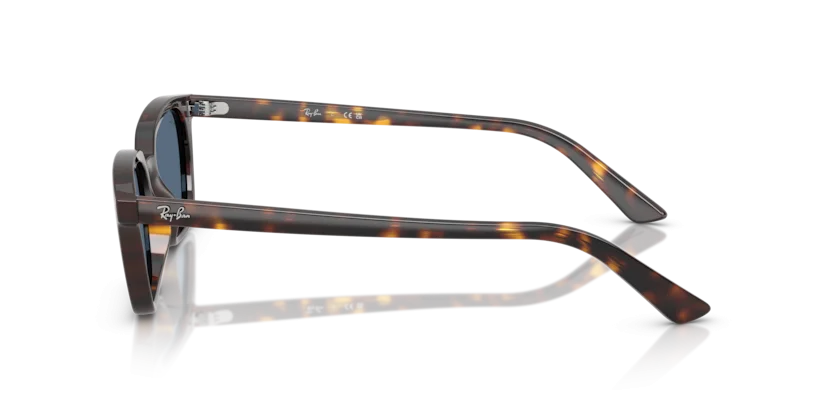 Ray-Ban RB4456 1359/80