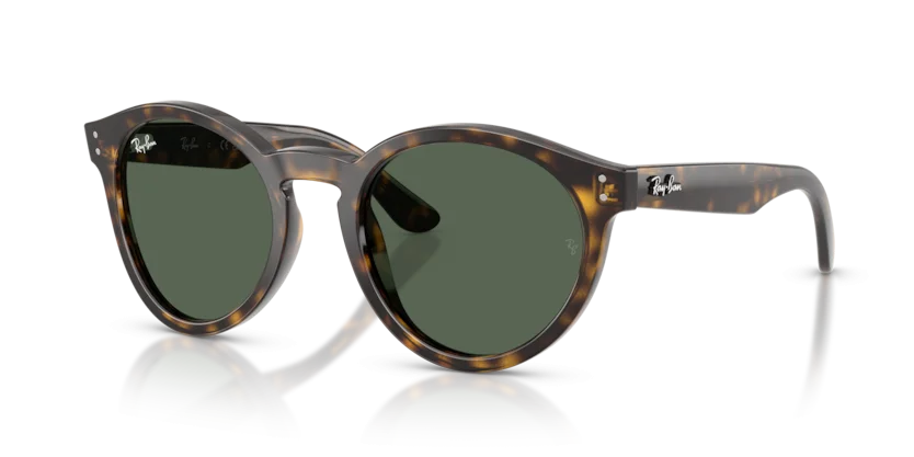 Kính Mát Ray-Ban RBR0505S 6790/VR