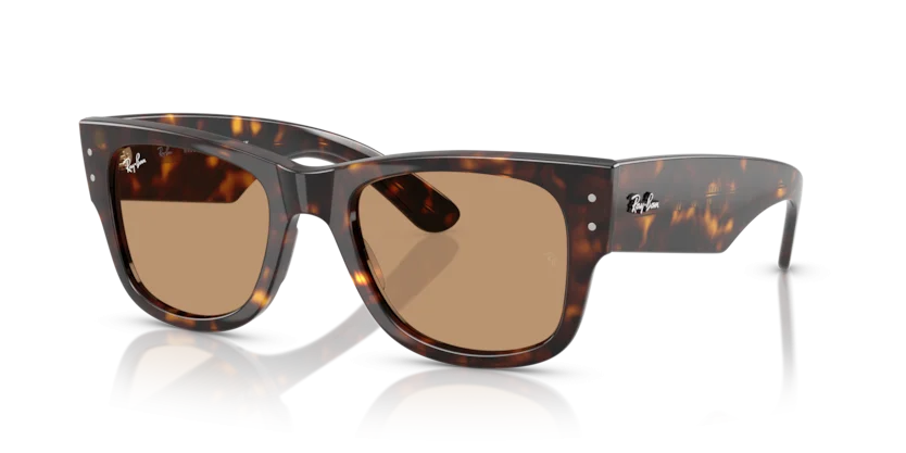 Kính Mát Ray-Ban RB0840SF 902/53