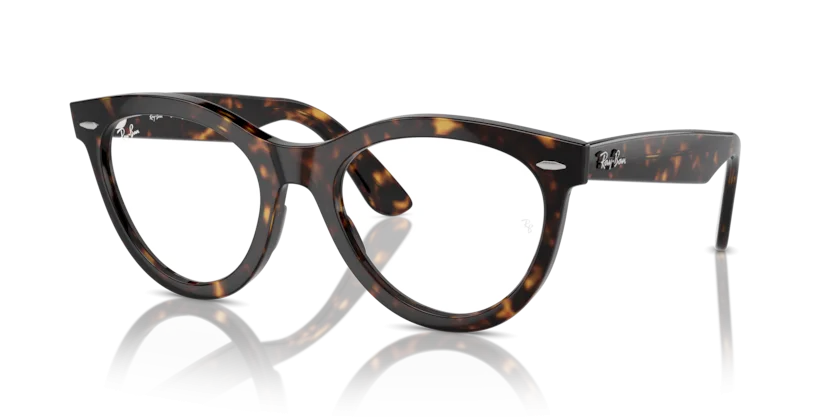 Gọng Kính Ray-Ban RB2241VF 2012