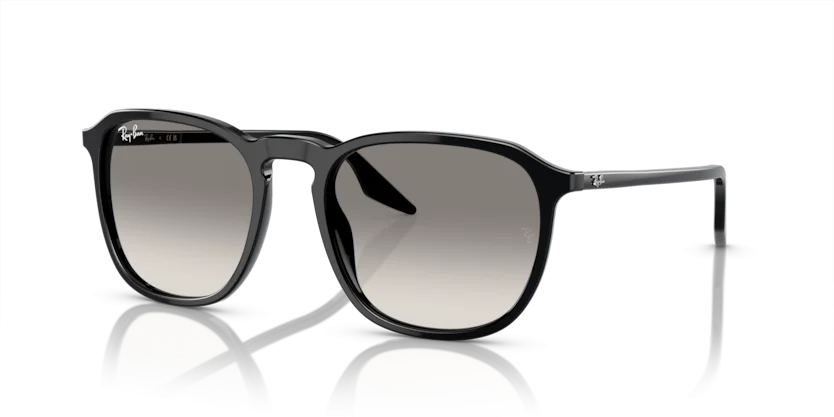Kính Mát Ray-Ban RB2203F 901/32