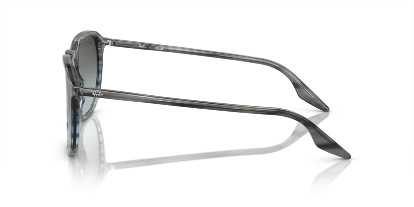 Ray-Ban RB2203F 1391/GK